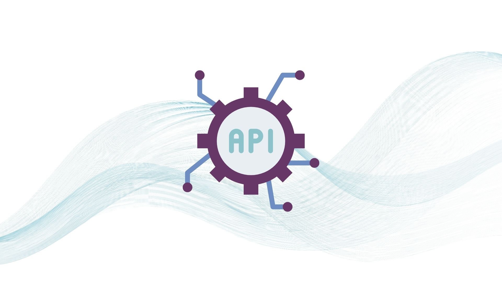 Seedr API: Getting More Accessible